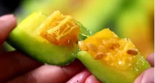 网红吃1000多的瓜,品味奢华美食之旅 第1张 网红吃1000多的瓜,品味奢华美食之旅 第1张